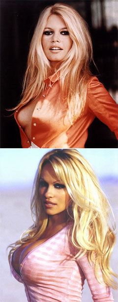 Brigitte Bardot vs. Pam Anderson is like sewn collars vs. fused collars