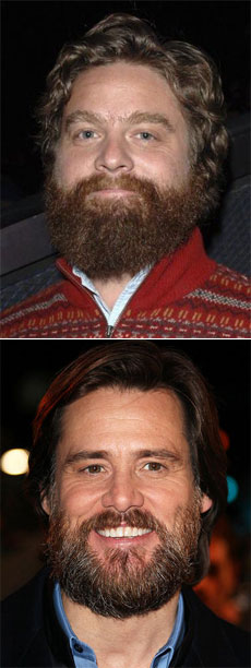 Is Zach Galifianakis Hollywood's New Tastemaker?